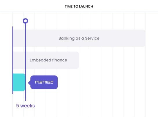 Time to launch pricing illustration